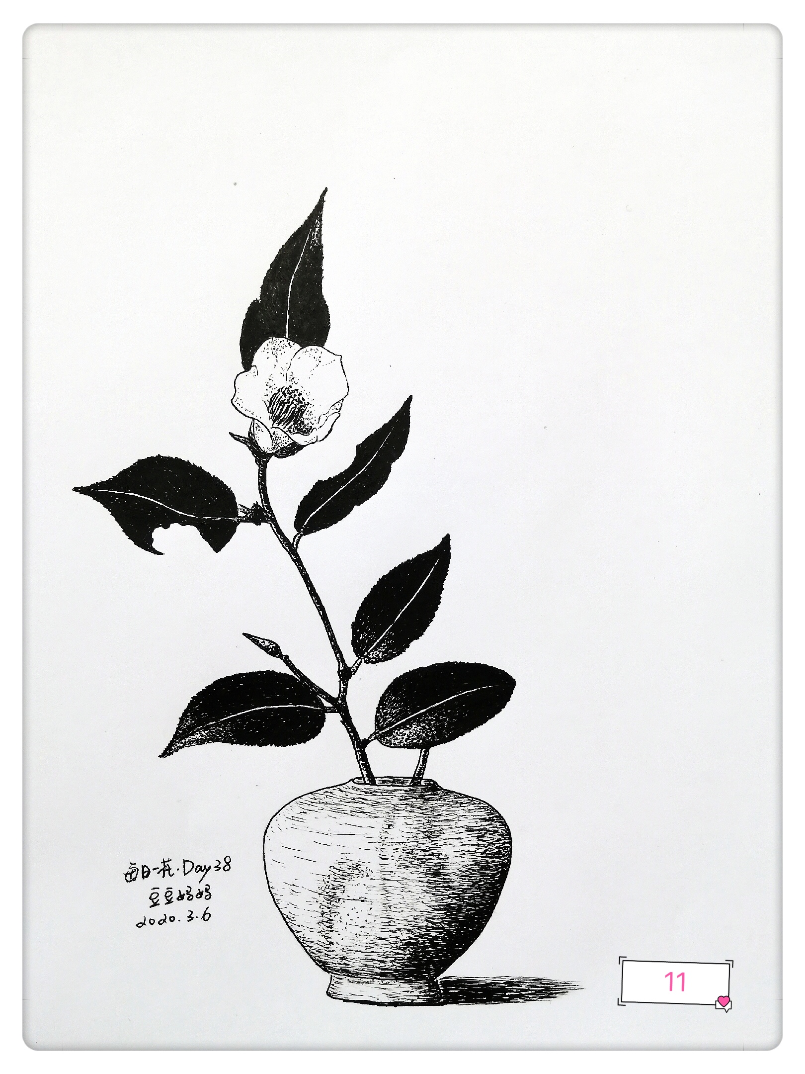 mmexport1583668885588.jpg mmexport1583668885588.jpg